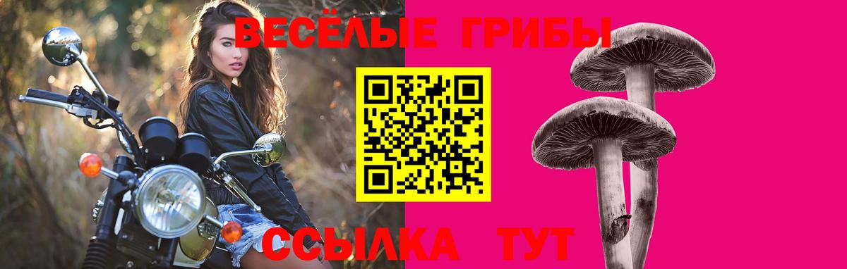 Дербент  Псилоцибиновые грибы GOLDEN TEACHER  Вход с VPN 